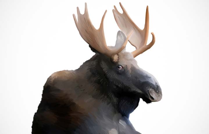 Digital Painting by Krystian 'smntfl' Karpiuk